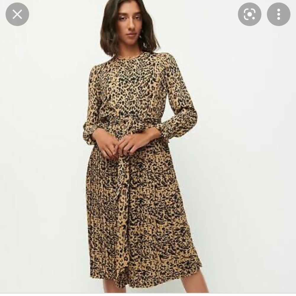 J. Crew Tall Long-sleeve pleated dress in leopard size 4